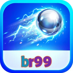 br99